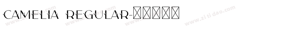 Camelia Regular字体转换